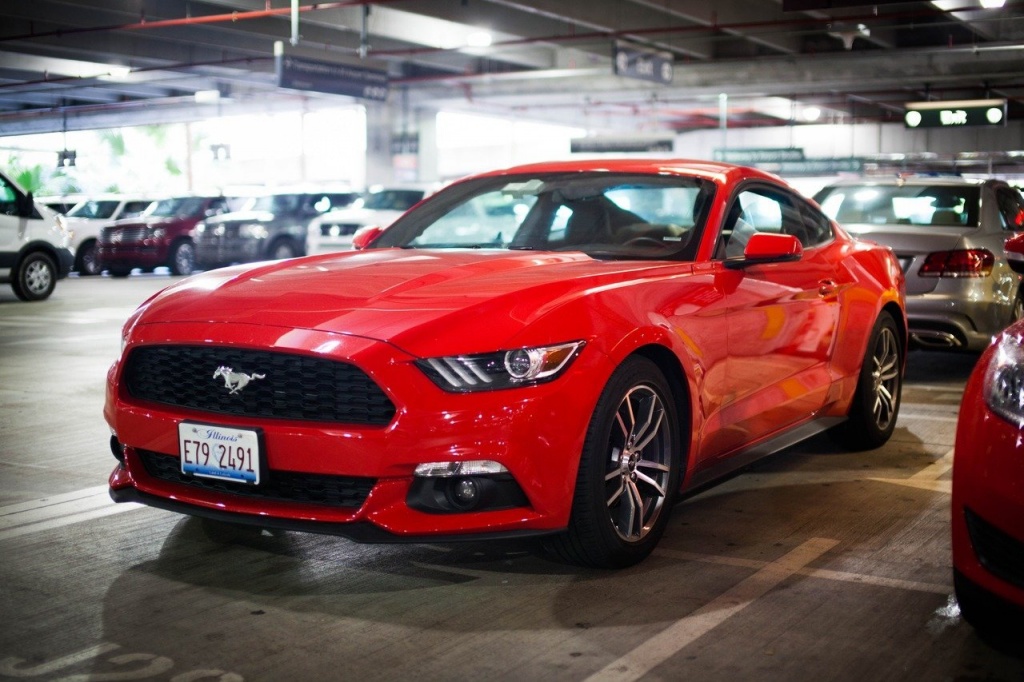 big_1045407.jpg