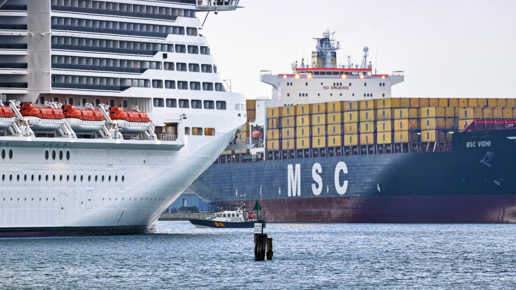 MSC.jpg
