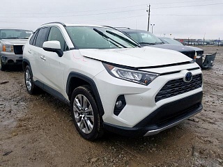 TOYOTA RAV4 LIMITED 2019 
