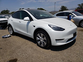 TESLA MODEL Y 2021